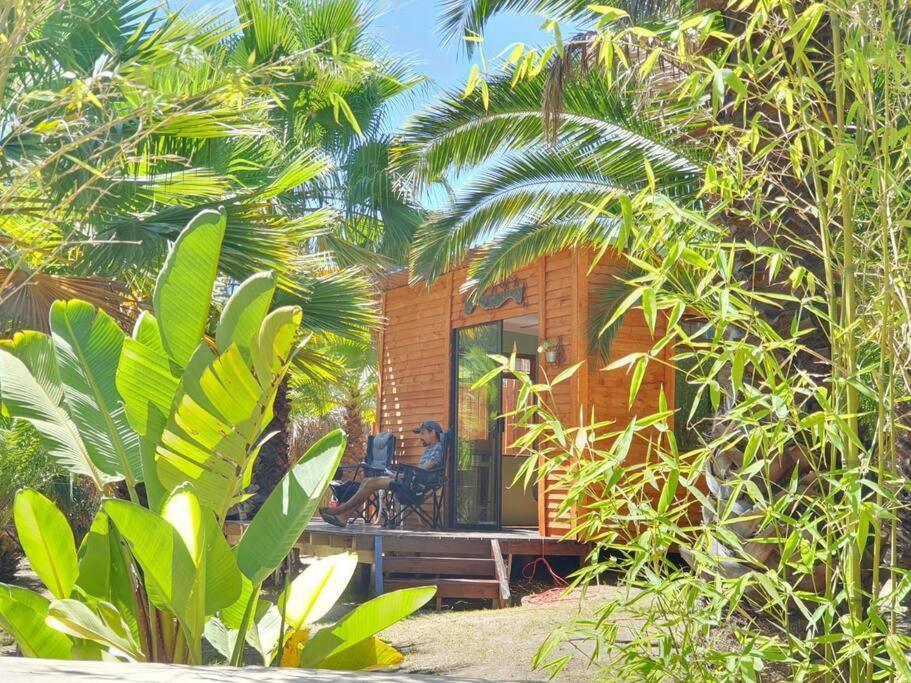 The Farmhouse B&B Municipalità locale di Municipalità locale di Stellenbosch Esterno foto